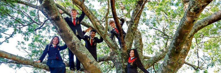 PHS_students-outside-tree-2026-6_banner